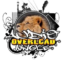 Аудио Оверлоад - Audio Overload